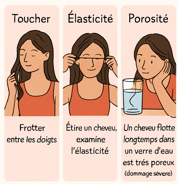 diagnostic capillaire